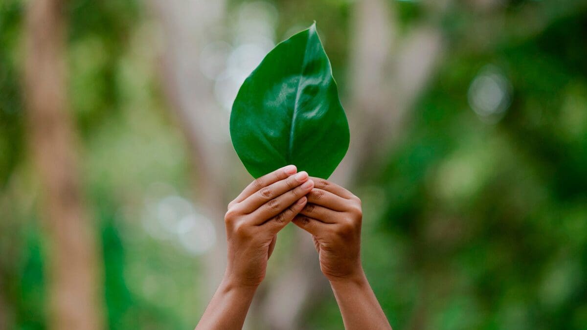 Equipe técnica da Geobitte realizando consultoria ambiental e gestão de licenças